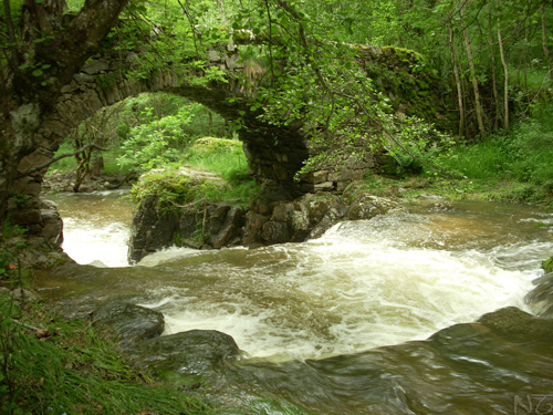 CALENDRIER 2011 (les ponts lozériens) Ng_cou11