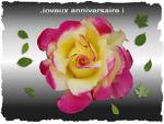 anniversaire La pralinette Rose11