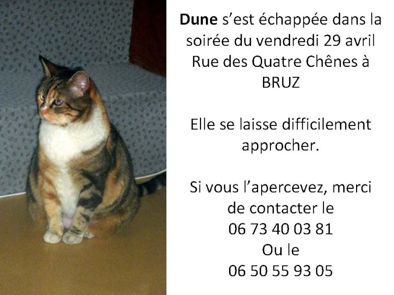 URGENT Dune s'est échappée Affich12