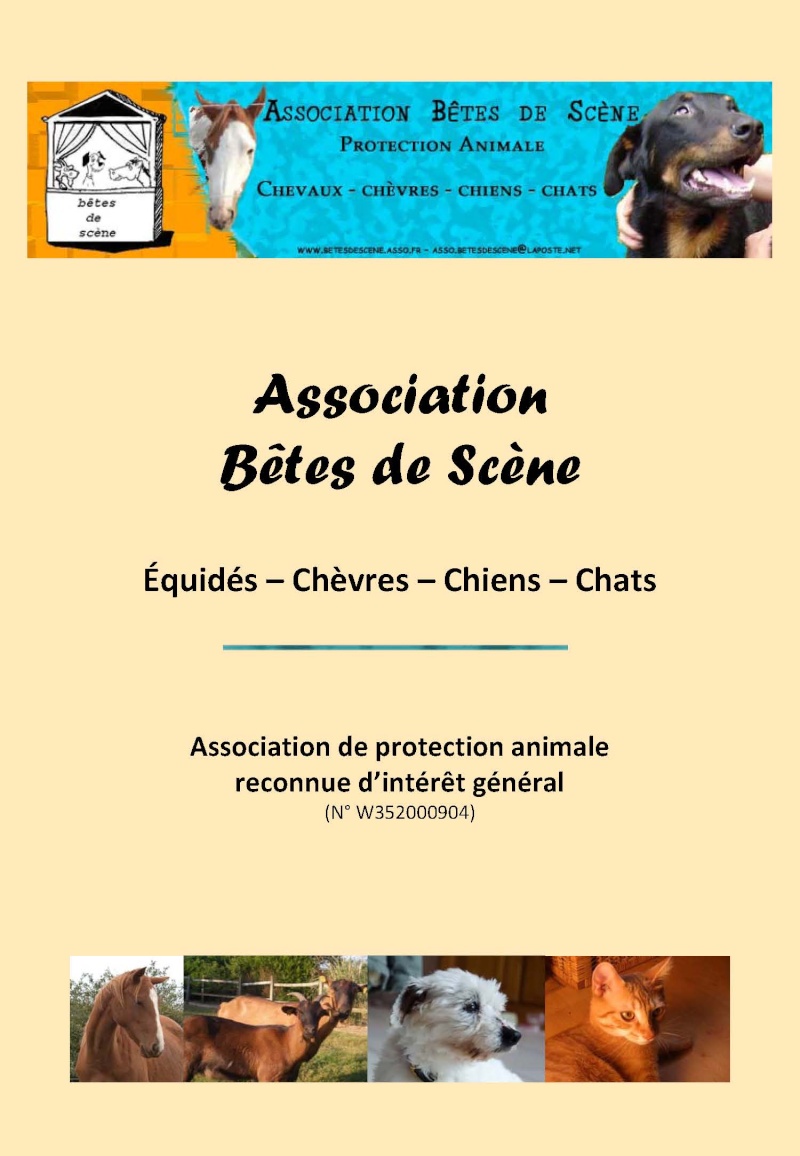 Document pour les nouveaux books chez les vétos Doc_ve20