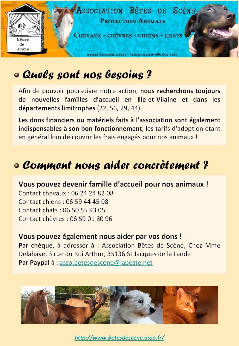 Document pour les nouveaux books chez les vétos Doc_ve22