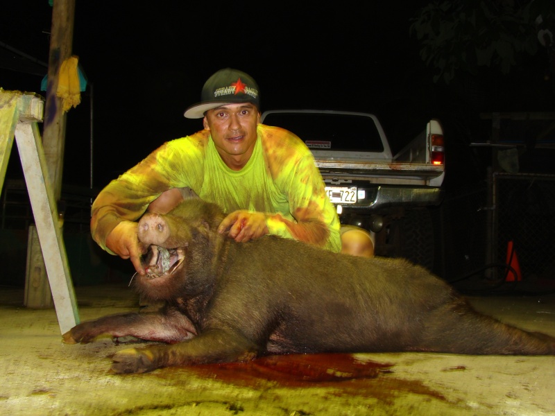 125LB. BOAR !!!9-20-10 PM (15 MIN. SOLO HUNT) 1 MO TIME!!! Dsc03611