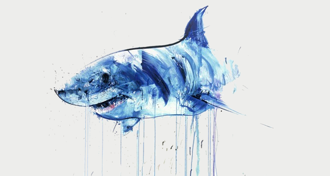 ♛. the Shark-revolution