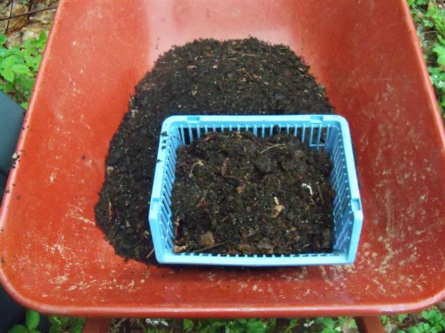 Compost after a long, cold winter. 05-22-16