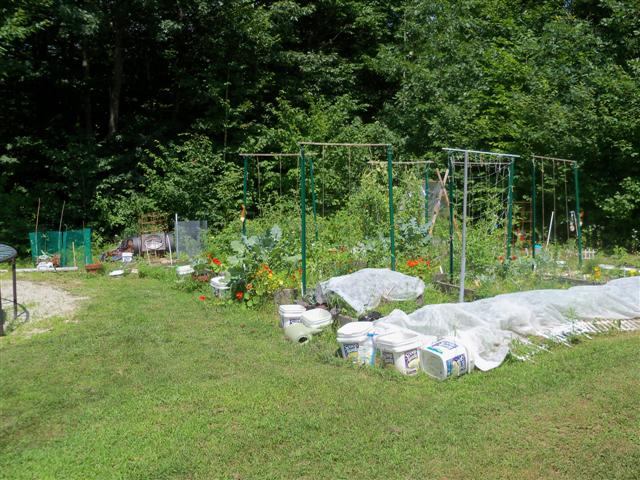 Can't find insect netting for 4' x 4' raised bed. 07-16-14