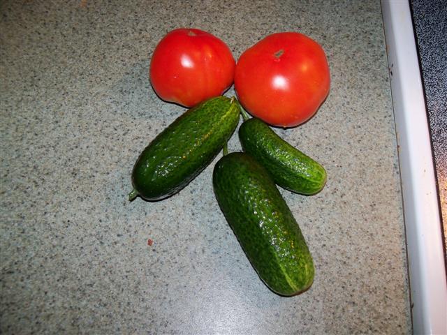 Cucumber varieties? 07-26-10