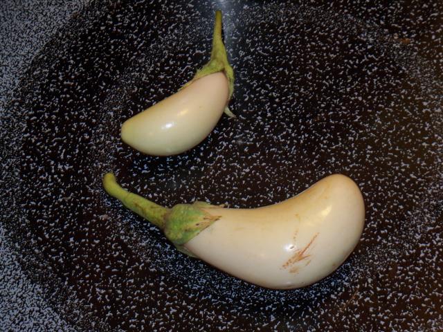 eggplant - Eggplant Siting 09-21-10