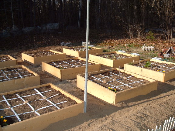 New beds are built... 4-29-010