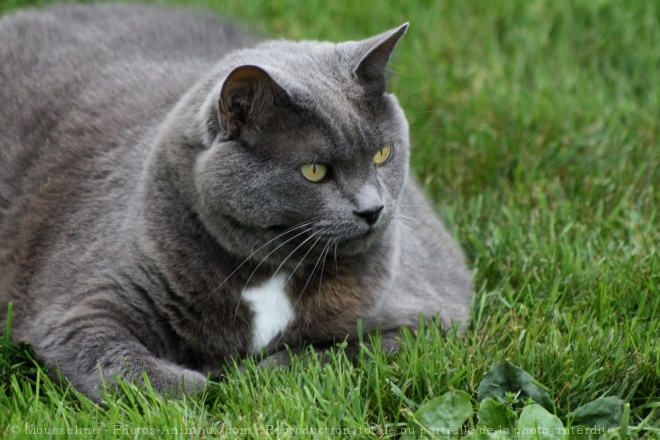 Des photos de tous les animaux que vous aimez - Page 2 56182310