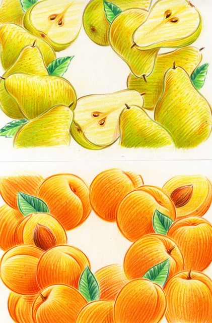 Carnet de kartoman Fruits10