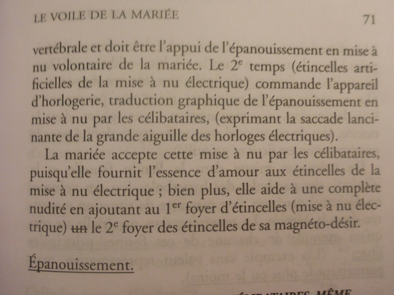 Duchamp, analyse de "Tu m'", partie 2 P1020810