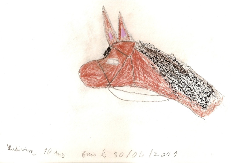 horse [by Ludivine, amie de 10 ans de noony4] Numari12