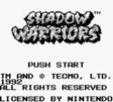 Shadow Warriors (GB) Gfs_8110