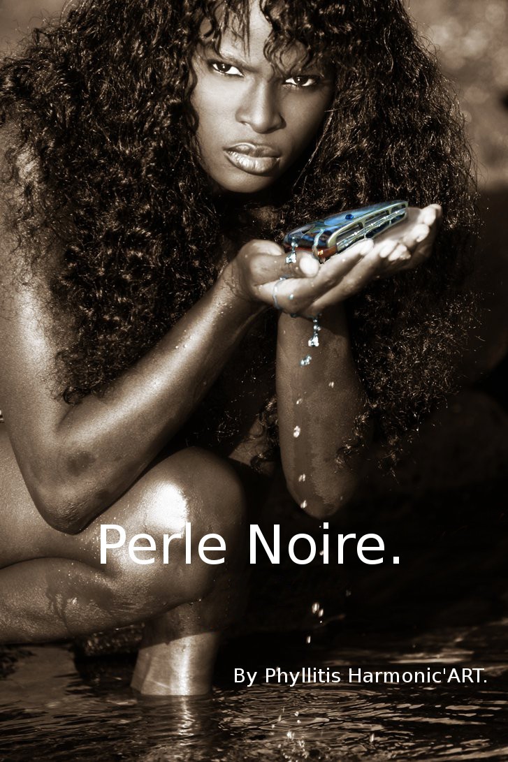 Nouvel Harmonica (Inspiration Yonbberg D1 Photo_16