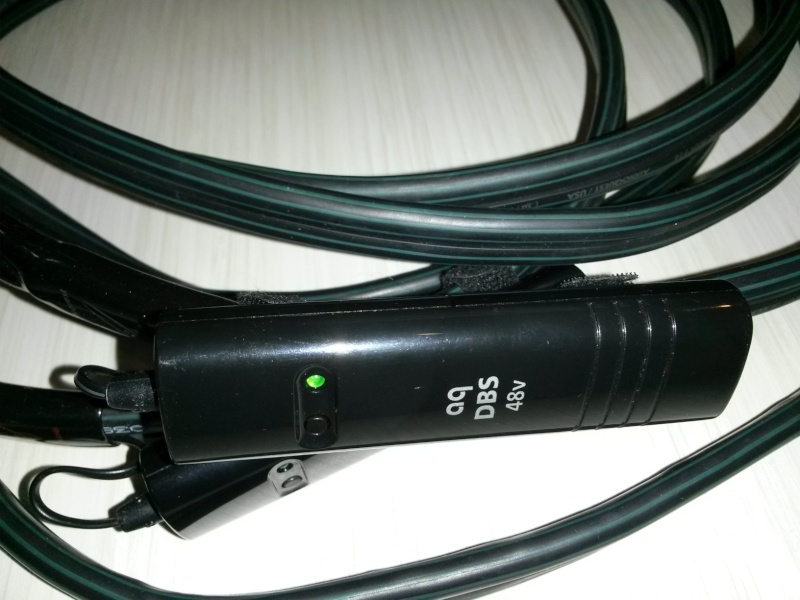 Audioquest Rocket 88 Speaker cables (Used) Audioq17