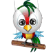 parrot parrot