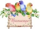 Presentez-vous!!!!!! Bienve22