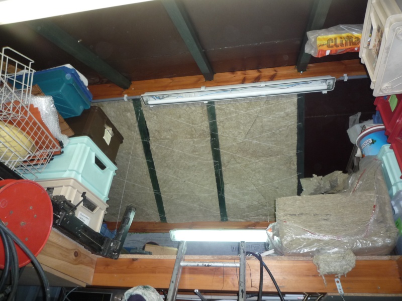 Abri de jardin/Annexe atelier - Page 3 P1040322