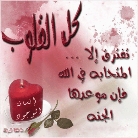 ماذا يريد الرجل ماذا تريد المرأة