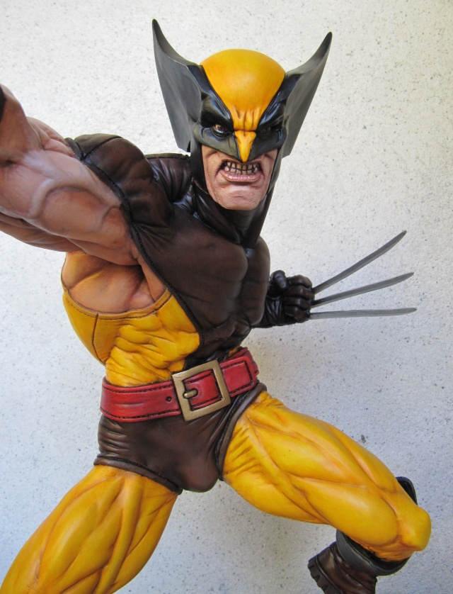 Dio Wolverine 1/4 . Img_8012