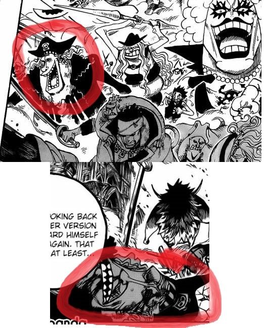 One Piece Kapitel 802: Zou 111