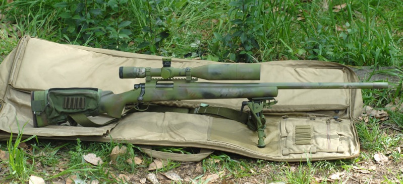300 Winchester magnum Rem23s11