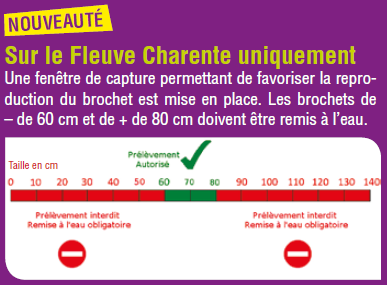 La fédération de Moselle a besoin de vous ! 69774310