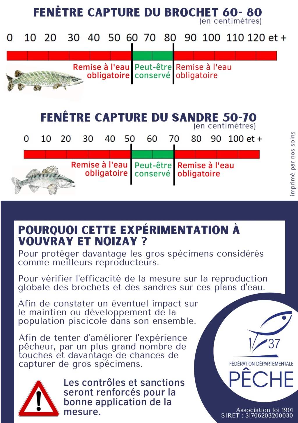 La maille inversée pour le carnassier - Page 2 Flyers11