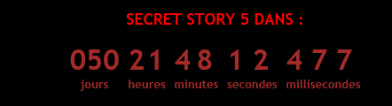 Secret  Story 5, c'est dans 50 jours !!! On y est presque, patience ... (secret  story 5 forum) Captur29