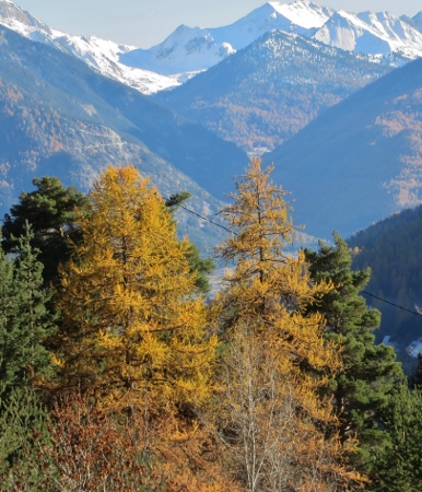 novembre dans les Hautes-Alpes (05) 042_3810