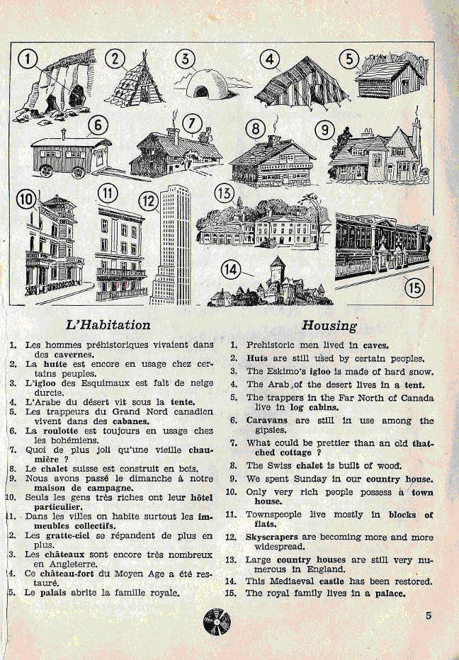 School and Education  Vocabu11