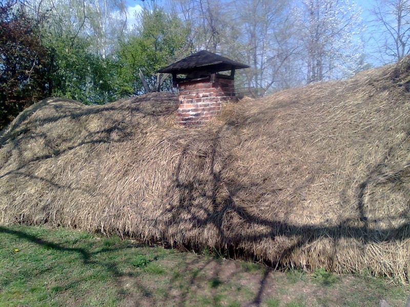 Le musée du village de Bucarest / fotografii Muzeul Satului Roman Imagin63