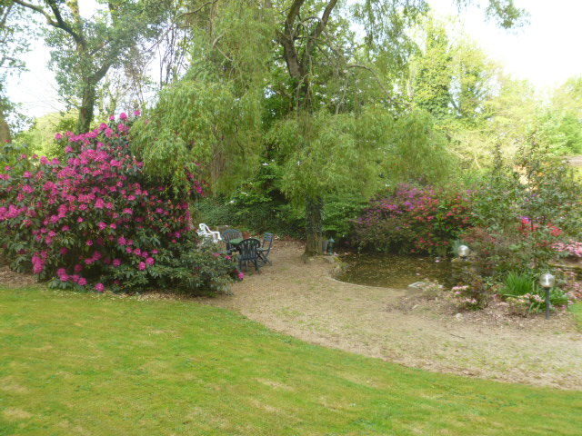 Aperçus de mon jardin Breton 00812