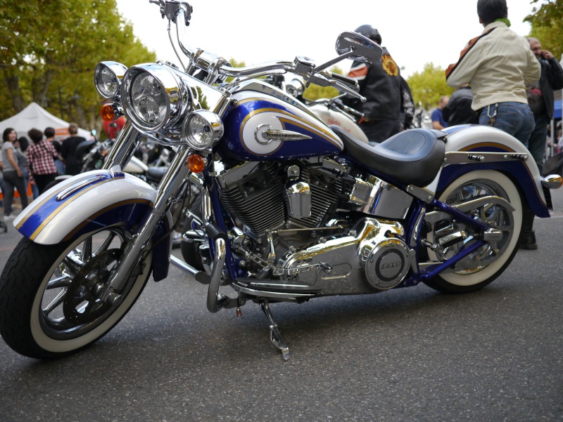 SOFTAIL DELUXE CVO 2015 !  - Page 3 Reduit10