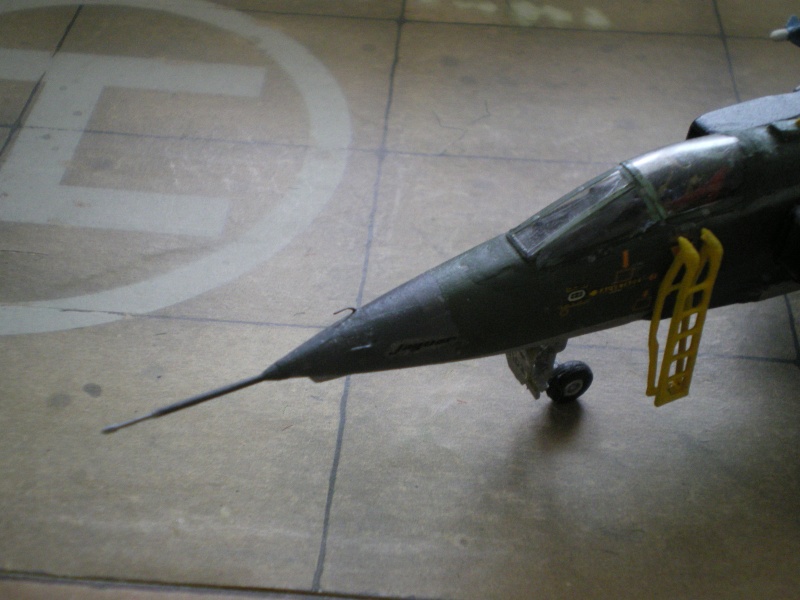 Jaguar A de l'Armée de L'air 4/11 Jura Hasegawa Imgp3511