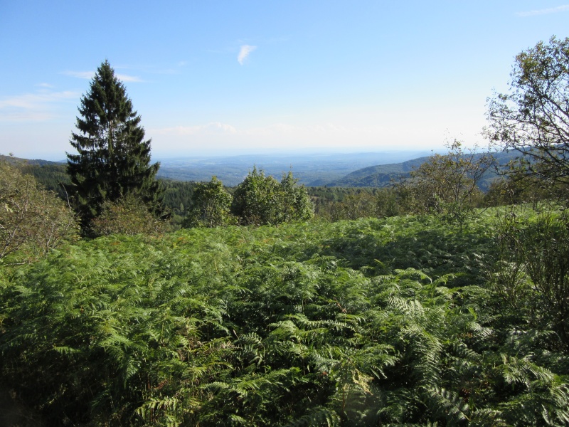 petite ballade dans mon coin des vosges saonoise Vue_de10