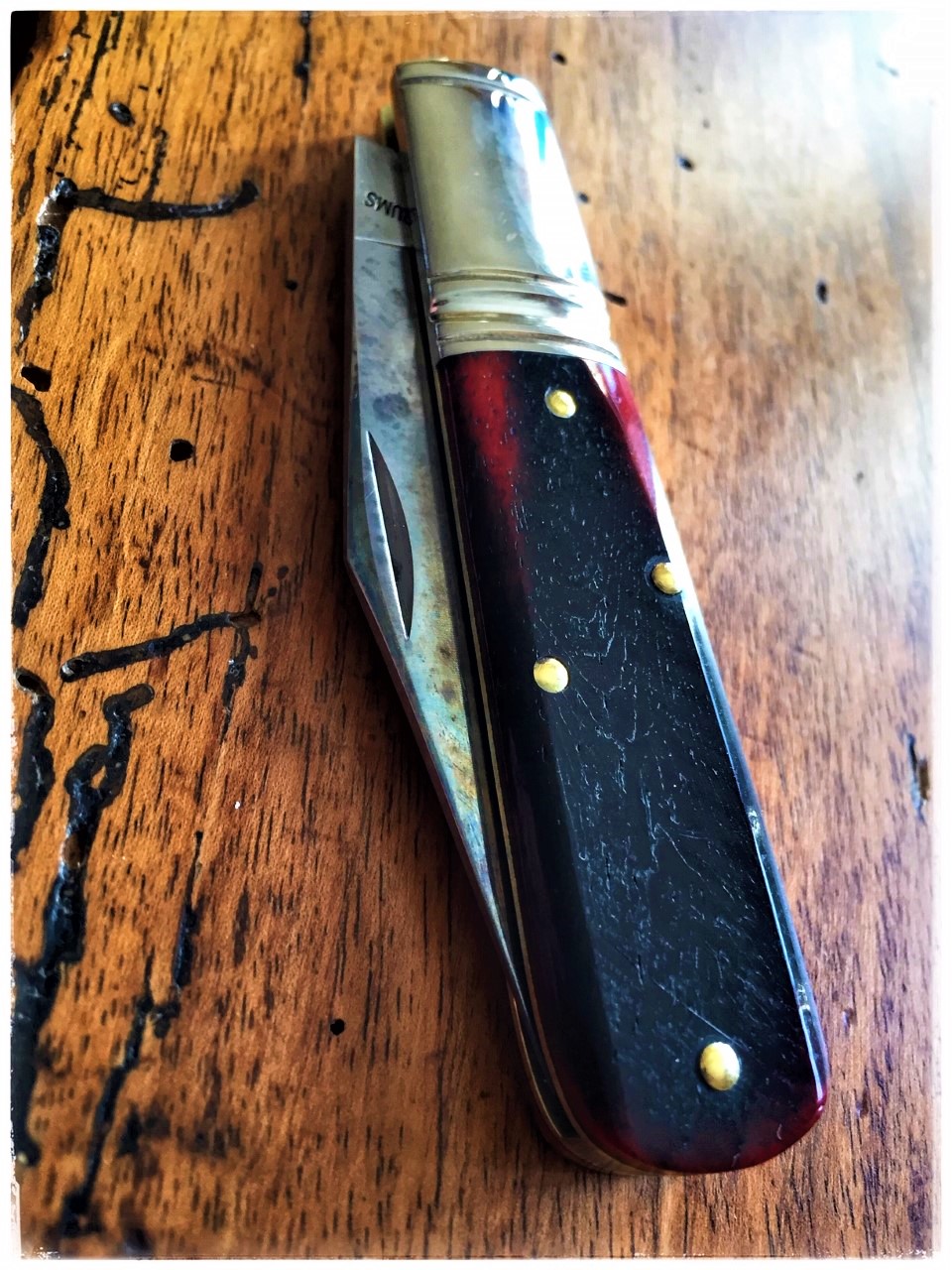 gec_bf12.jpg