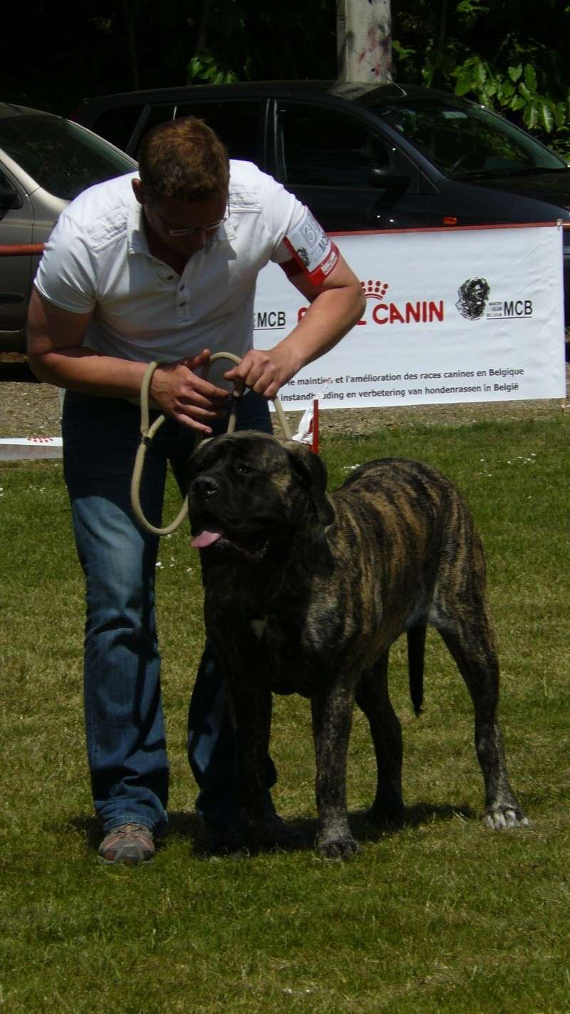 résultats Eros et Estrella ( allias xéna) 2011 Dogsho14