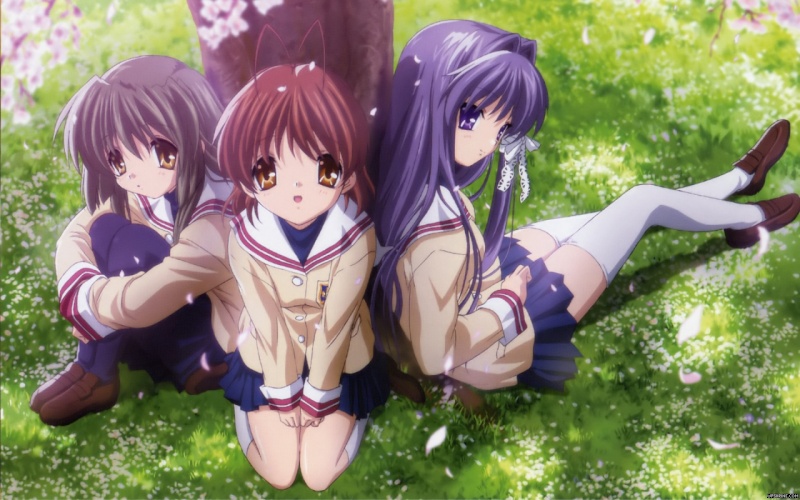 صور  Clannad anime Clanna18