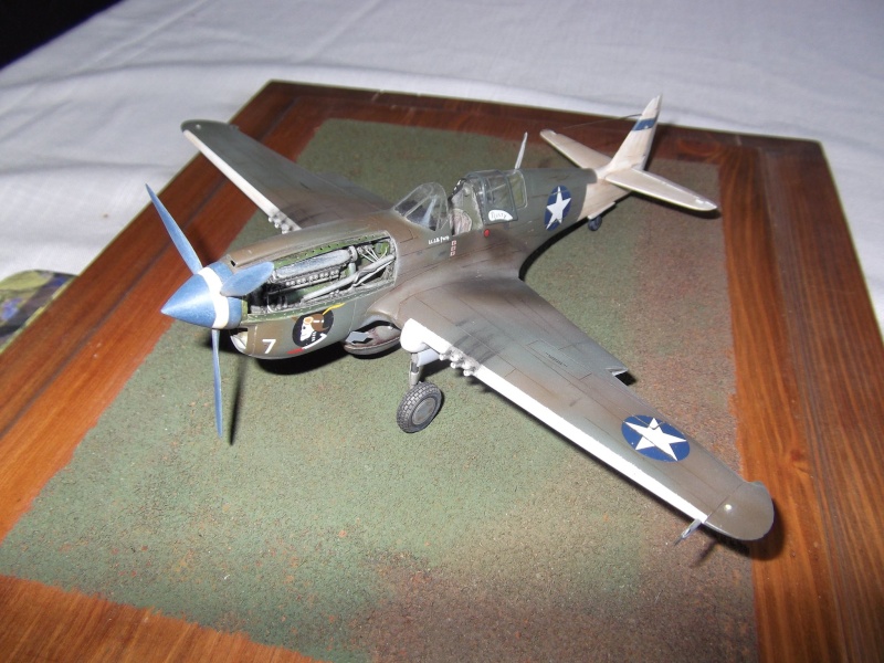 P-40 N (Eduard) 1:48 P_40_110