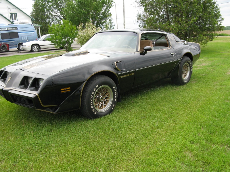 projet - Trans Am 1979  403 vs 350 pour avoir du plaisir . - Page 5 Photo_22