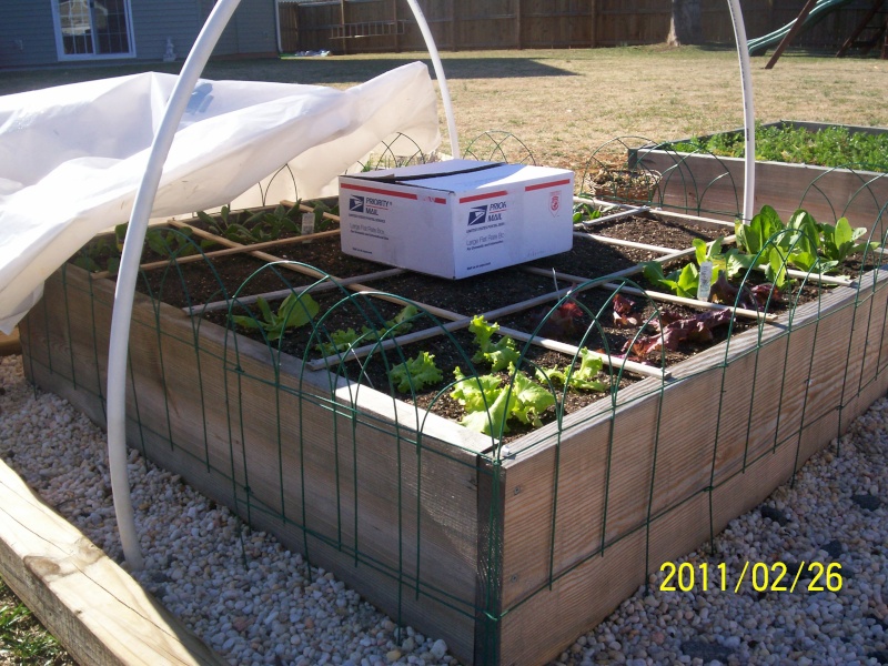 Hoop House Issue...How to Solve Please! - Page 3 100_2710