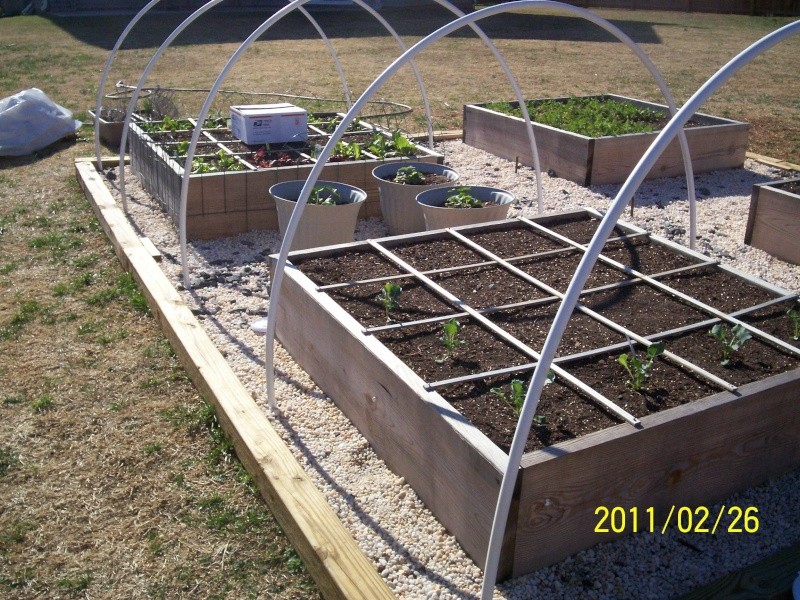 Hoop House Issue...How to Solve Please! - Page 3 100_2713