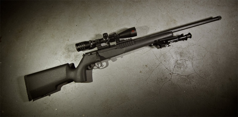 Choix de 22LR au design de Sniper Savage10