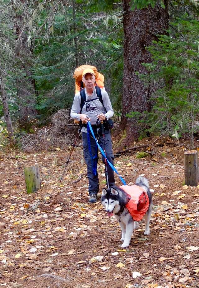 Hiking with Dogs: Indian Heaven Wilderness, WA 110