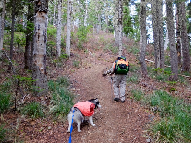 Hiking with Dogs: Indian Heaven Wilderness, WA 210