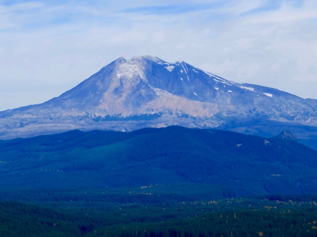 Hiking with Dogs: Indian Heaven Wilderness, WA 311