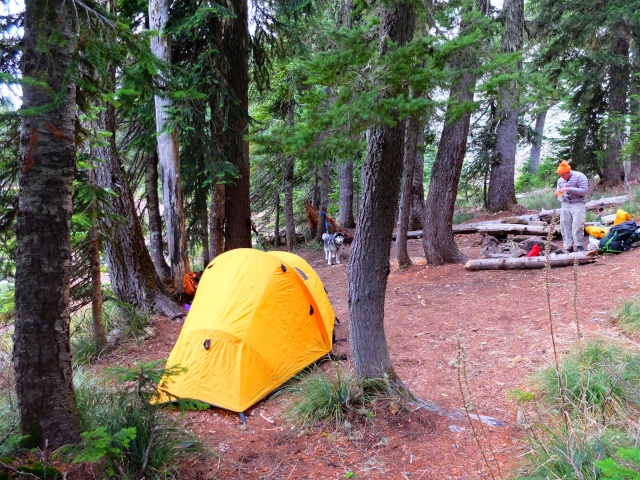 Hiking with Dogs: Indian Heaven Wilderness, WA 411