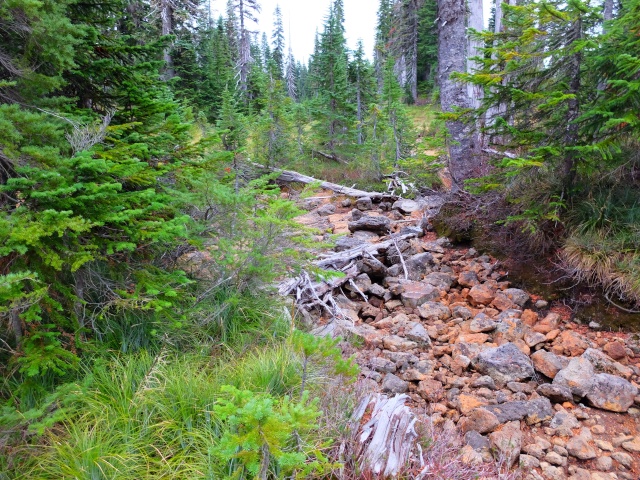 Hiking with Dogs: Indian Heaven Wilderness, WA 610