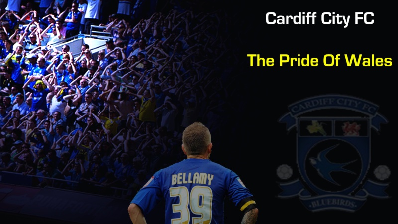 Cardiff City Wallpapers 2011/2012  Wallpa10